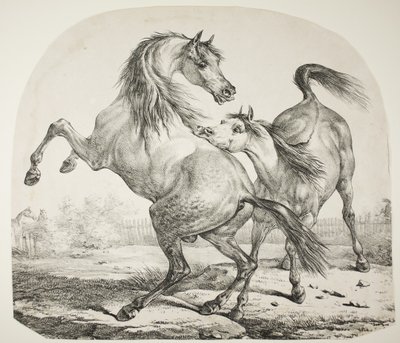 जंगली घोड़े की लड़ाई, c.1820 द्वारा एंटोनी चार्ल्स होरेस वर्नेट