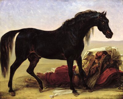 एक अरबी घोड़ा द्वारा Antoine Jean Gros
