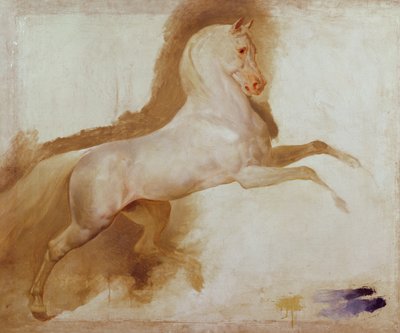 जोआचिम मूरत का घोड़ा, सी। 1832 द्वारा Antoine Jean Gros