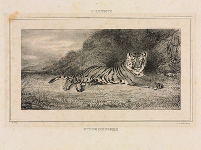 बाघ का अध्ययन द्वारा Antoine Louis Barye