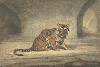 टाइगर, 1810-75। द्वारा एंटोनी लुइस बेरी