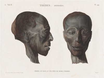 मिस्र का विवरण: थेब्स। Hypogees वॉल्यूम। II, Pl। 49। द्वारा एंटोनी मैक्सिम मोनसाल्डी