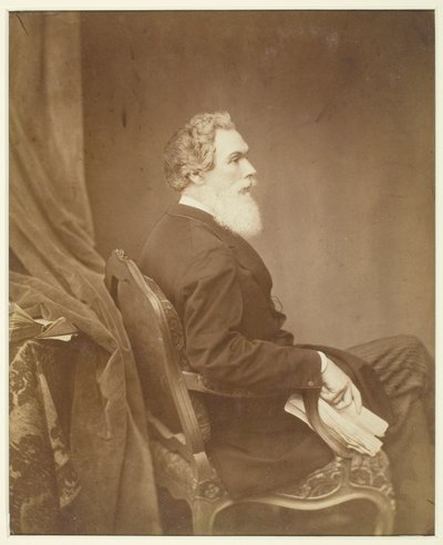 शीर्षकहीन (कुर्सी पर बैठा आदमी, प्रोफ़ाइल) द्वारा Antoine-Samuel Adam-Salomon