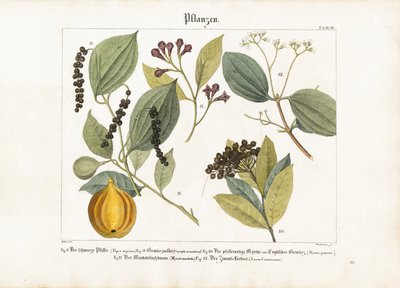  द्वारा Anton Wachsmann