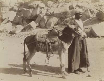 बौरियर और बौरीकर, मिस्र द्वारा एंटोनियो बीटो