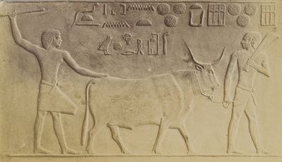 Saqqara . में पवित्र बैल द्वारा एंटोनियो बीटो