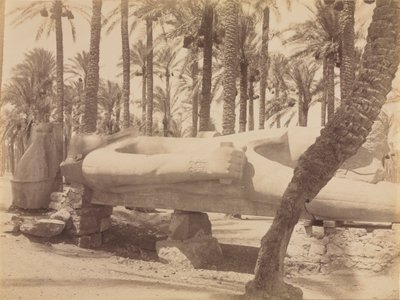 सक्कारा में रामेसेस की मूर्ति, सी। 1870s - 1880s। द्वारा एंटोनियो बीटो
