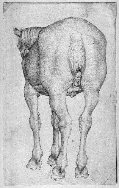 हॉर्स, द वल्लार्डी एल्बम से द्वारा Antonio Pisanello
