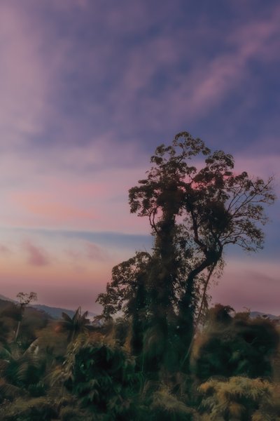  द्वारा एंटोनियो शूबर्ट