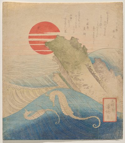 नए साल के आगमन से पहले समुद्री घोड़े द्वारा Aoigaoka Keisei