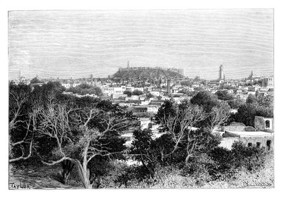 अलेप्पो, सीरिया, 1895। द्वारा अरमानंद कोहल
