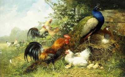 फॉल और मोर, 1899 द्वारा आर्थर फिट्ज़विलियम टैट