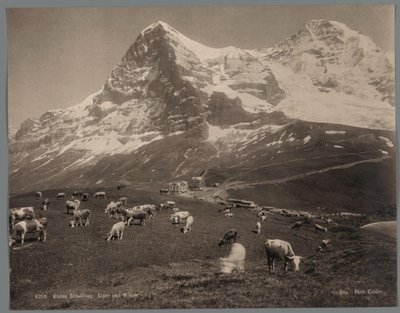  द्वारा आर्थर गेबलर