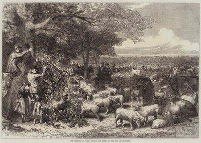 Bois de Boulogne में पेरिस की रक्षा, मवेशी और भेड़ द्वारा आर्थर हॉपकिंस