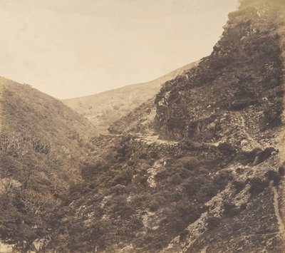 वाटर्समीट की सड़क पर, लिंटन के पास, नॉर्थ डेवोन, 1856। द्वारा आर्थर जूलियस पोलक
