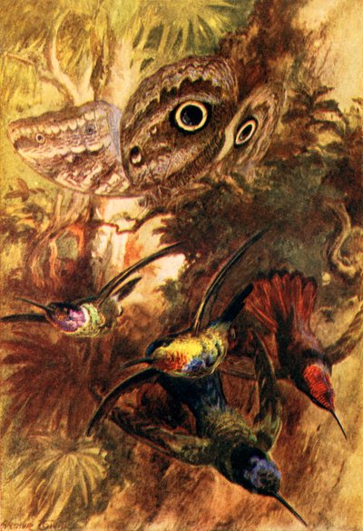  द्वारा आर्थर ट्विडल