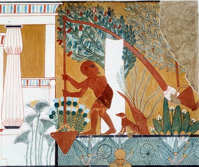  द्वारा कलाकार अज्ञात