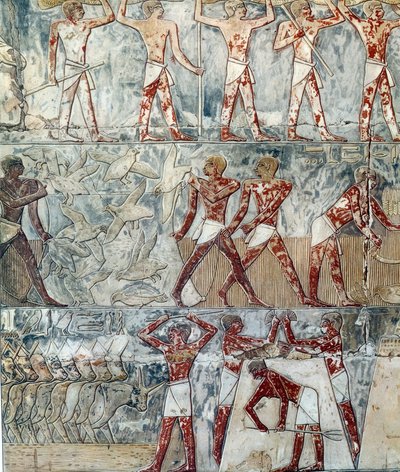  द्वारा कलाकार अज्ञात