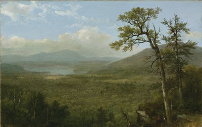 एडिरोंडैक पर्वत, एनवाई, 1870 द्वारा एशर ब्राउन डूरंड