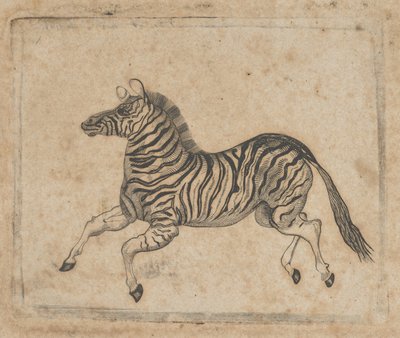 ज़ेबरा दिखाते हुए बैंकनोट विग्नेट, सीए। 1824-37। द्वारा आशेर ब्राउन डूरंड।