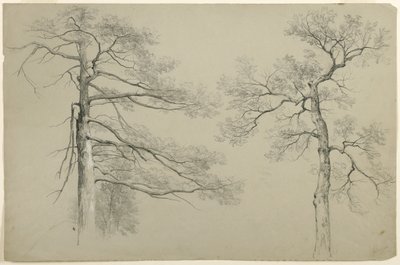 दो पेड़, हेग, लेक जॉर्ज, न्यूयॉर्क, 1862 का अध्ययन (ग्रे ब्रिस्टल पेपर पर ग्रेफाइट और सफेद गाउचे) द्वारा एशर ब्राउन डूरंड
