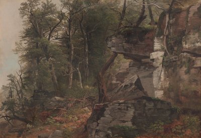 एक रॉकी हिलसाइड पर पेड़, c.1849 द्वारा एशर ब्राउन डूरंड