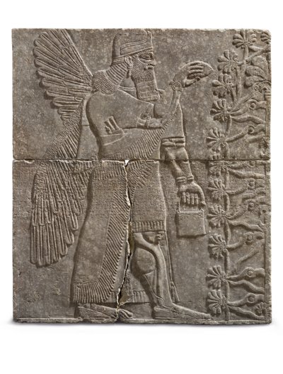 एक विंग जीनियस की राहत, आशुतसिरपाल का शासनकाल, c.883-859 ई.पू. द्वारा असीरियन