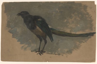  द्वारा अगस्त गली