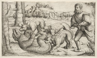  द्वारा Augustin Hirschvogel
