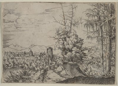  द्वारा Augustin Hirschvogel