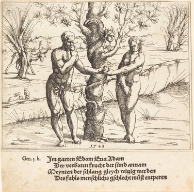 द फॉल ऑफ मैन, 1548। द्वारा ऑगस्टिन हिर्शचोगेल