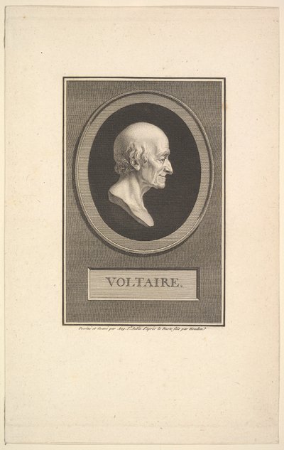 वोल्टेयर का पोर्ट्रेट, 1801। द्वारा ऑगस्टिन डी सेंट औबिन