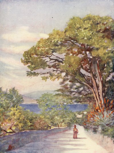  द्वारा ऑगस्टीन फिजराल्ड़