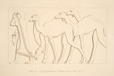 एक महिला कैदी और ऊंट, नीनवे के स्मारकों से चित्रण, 1849 द्वारा ऑस्टेन हेनरी लेयर्ड