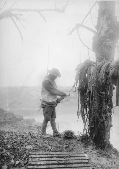 Mametz, दिसंबर 1916 के पास एक बिलेट में अपनी टीमों से कीचड़ साफ करने वाले एक अज्ञात ऑस्ट्रेलियाई तोपखाने चालक द्वारा ऑस्ट्रेलियाई फोटोग्राफर