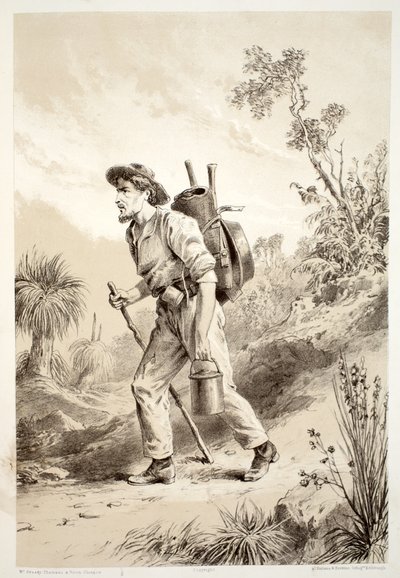 डेविड ब्लेयर, मैकग्रैडी, थॉमसन, और नाइस, 1879 द्वारा द हिस्ट्री ऑफ़ ऑस्ट्रेलेशिया से ट्रम्प पर खुदाई, 1879 द्वारा ऑस्ट्रेलियाई स्कूल