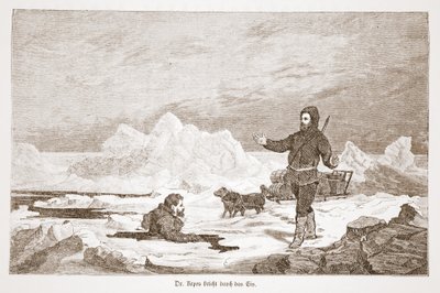 डॉ। रेप्स बर्फ से गिरता है, 1876 द्वारा ऑस्ट्रियाई स्कूल