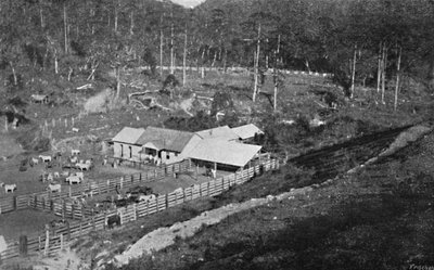 क्रिएकाओ फ़ार्म कैम्पोस जॉर्डनो, क्रिएकाओ फ़ार्म, 1895 द्वारा एक्सल फ्रिक