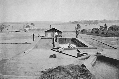 लावादुरो डे कैफे, वॉशिंग कॉफ़ी, 1895 द्वारा एक्सल फ्रिक