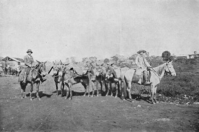 आंतरिक व्यापारियों, आंतरिक व्यापारी, 1895 द्वारा एक्सल फ्रिक