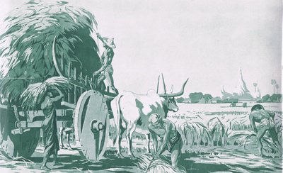 मैकमिलन स्कूल पोस्टर से बर्मा में एक धान का खेत, c.1950-60s (लिथो) द्वारा बा नयन