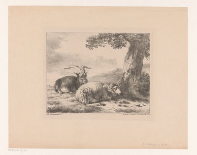  द्वारा बर्गग्राफ