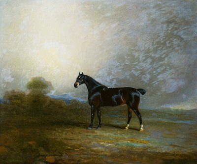 बेम्बो, एक पसंदीदा हंटर ऑफ चार्ल्स शटलवर्थ, एस्क।, 1802 द्वारा बेंजामिन मार्शल
