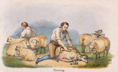 बाल काटना, c1845 द्वारा रॉबर्ट केंट थॉमस