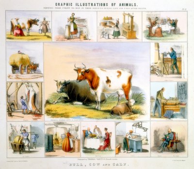 द काउ, c1850 द्वारा बेंजामिन वॉटरहाउस हॉकिन्स