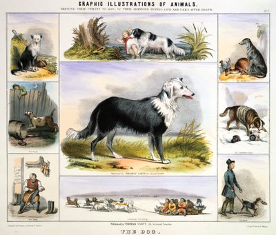 द डॉग, c1850 द्वारा बेंजामिन वॉटरहाउस हॉकिन्स