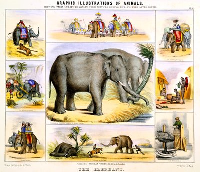 हाथी, c1850 द्वारा बेंजामिन वॉटरहाउस हॉकिन्स