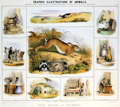 हरे और खरगोश, c1850 द्वारा बेंजामिन वॉटरहाउस हॉकिन्स