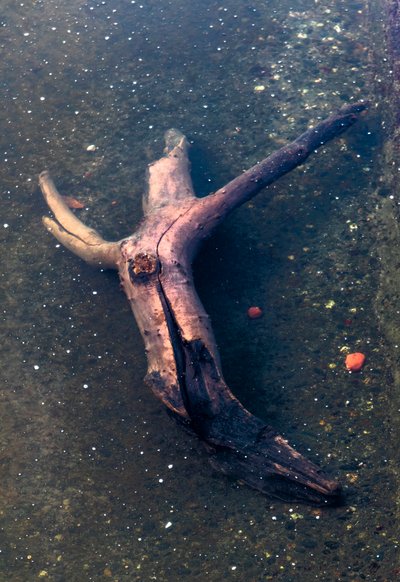  द्वारा 