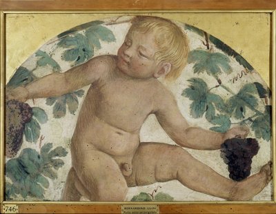 हार्वेस्टिंग पुट्टी - पुत्तो अंडर ए पेर्गोला, c.1514 (बोर्ड पर अलग किया गया फ्रेस्को) द्वारा बर्नार्डिनो लुइनी